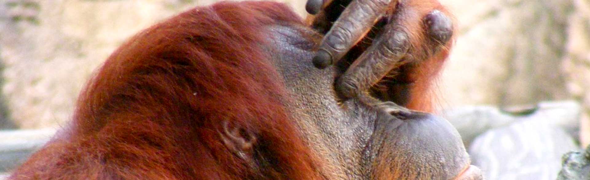 Erros em Apresentações