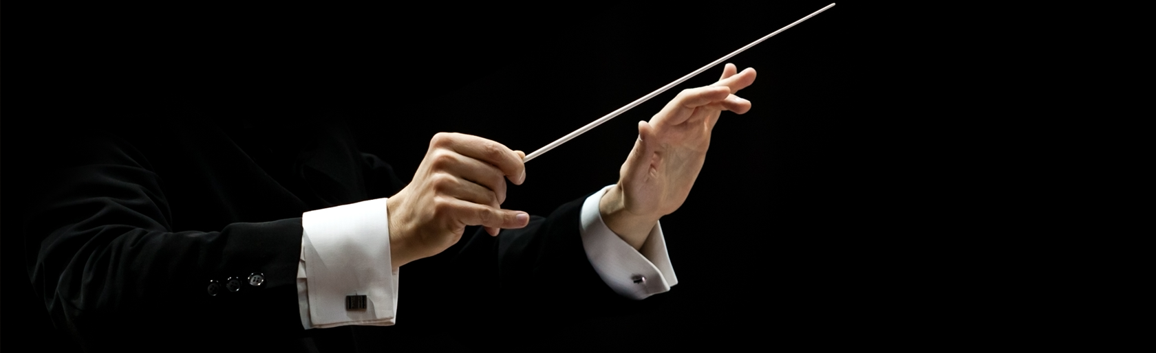 apresentacao-profissional